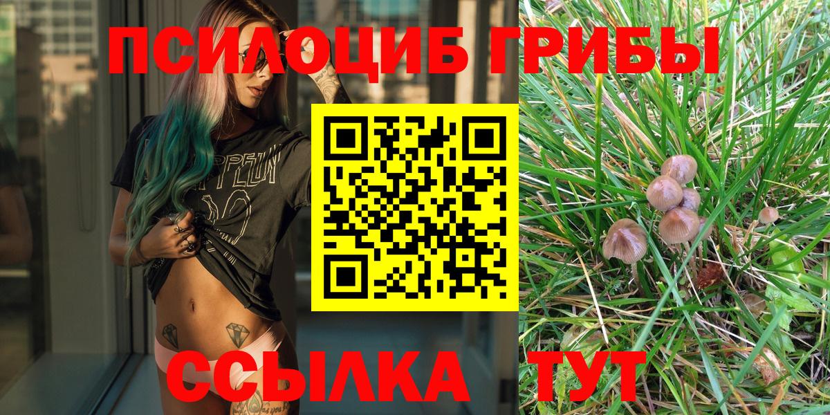 Якутск  Галлюциногенные грибы GOLDEN TEACHER  Вход с VPN 