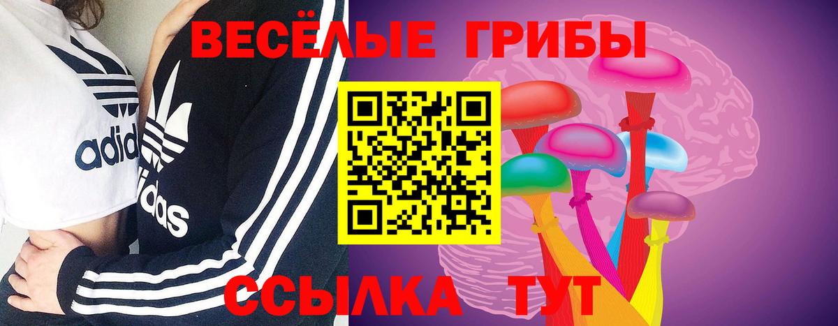 Псилоцибиновые грибы мицелий Якутск